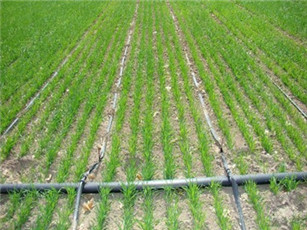 農田灌溉PE管